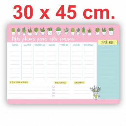 Pizarra Planner Organizador Imantado Modelo "Cactus" 30 x 45 cm.