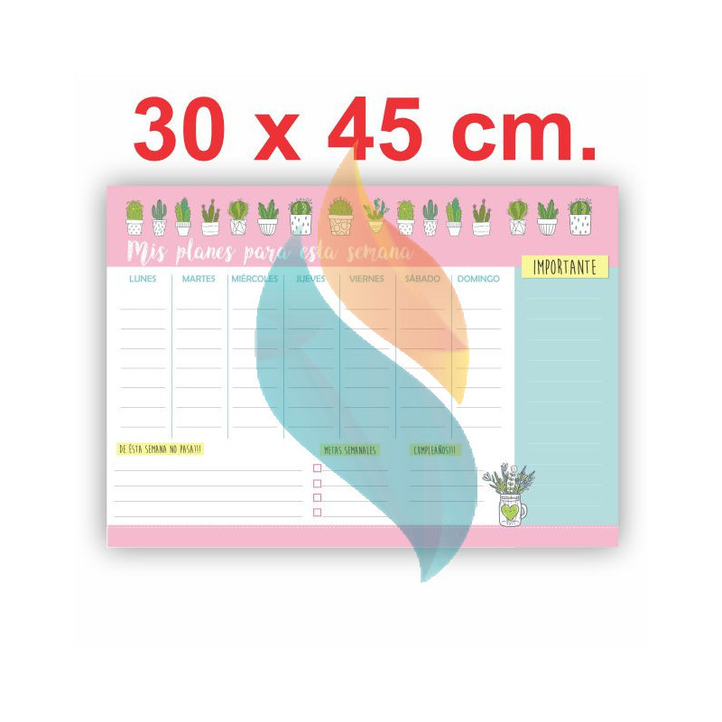 Pizarra Planner Organizador Imantado Modelo "Cactus" 30 x 45 cm.