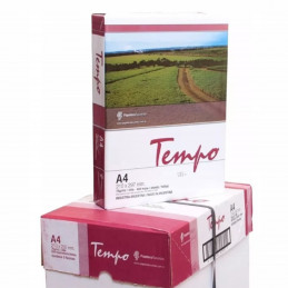 Resma A4 Papel Obra 75 gr. 2500 hojas - Tempo Precio Mayorista